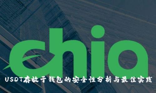 USDT存放于钱包的安全性分析与最佳实践