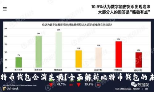 比特币钱包会消失吗？全面解析比特币钱包的未来