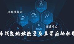比特币钱包地址数量及其