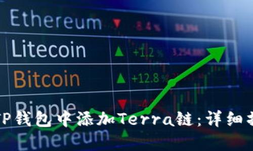 如何在TP钱包中添加Terra链：详细操作指南