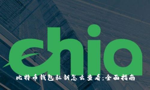 比特币钱包私钥怎么查看：全面指南