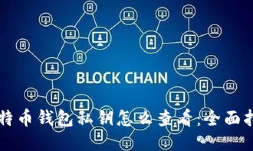 比特币钱包私钥怎么查看：全面指南