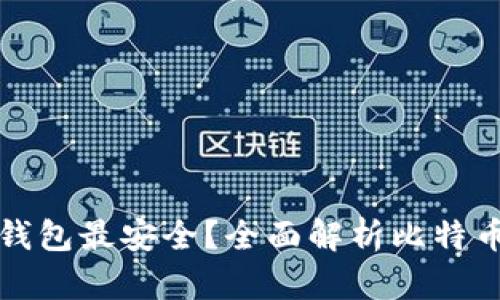 比特币存哪个钱包最安全？全面解析比特币钱包的安全性