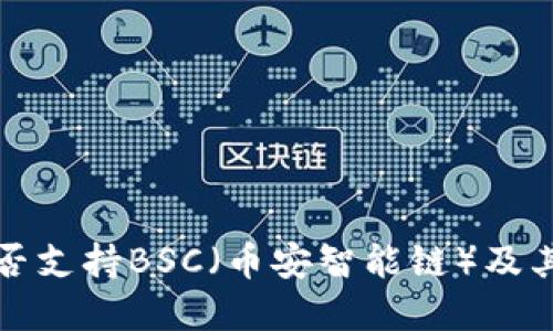 TP钱包是否支持BSC（币安智能链）及其功能详解