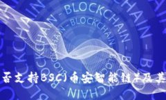 TP钱包是否支持BSC（币安智