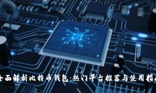 全面解析比特币钱包：热门平台推荐与使用指南