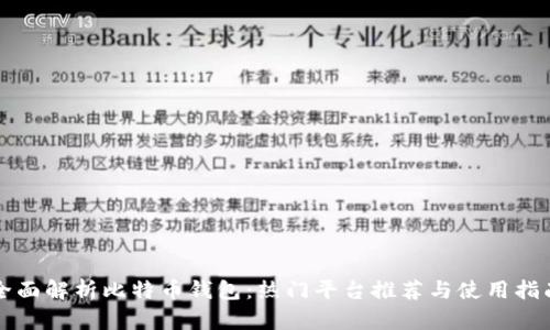全面解析比特币钱包：热门平台推荐与使用指南