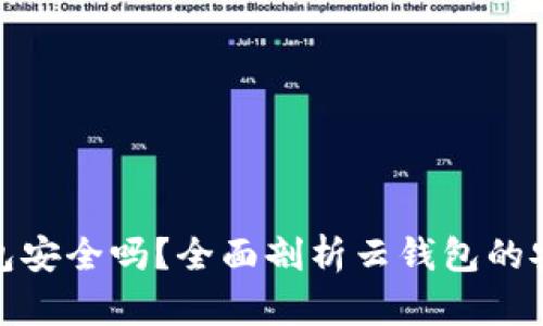 : 比特币的云钱包安全吗？全面剖析云钱包的安全性与使用指南