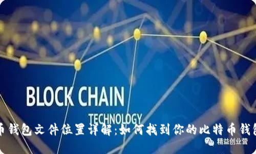 比特币钱包文件位置详解：如何找到你的比特币钱包文件