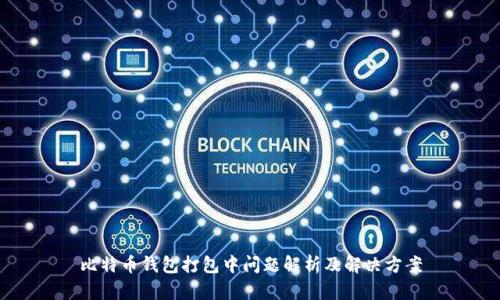 比特币钱包打包中问题解析及解决方案