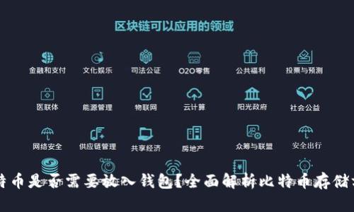 比特币是否需要放入钱包？全面解析比特币存储方式