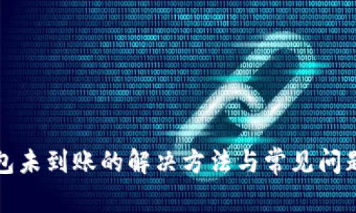 盛钱包未到账的解决方法与常见问题解答