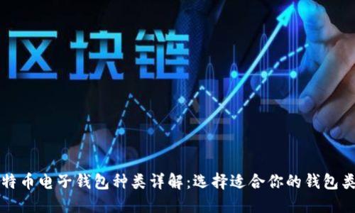比特币电子钱包种类详解：选择适合你的钱包类型