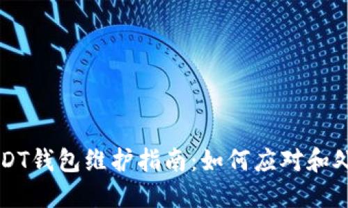 中币USDT钱包维护指南：如何应对和处理问题