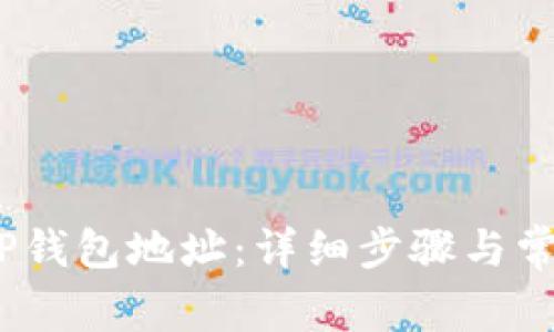 :如何查看TP钱包地址：详细步骤与常见问题解答