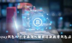 Topay钱包APP：全面深入解析