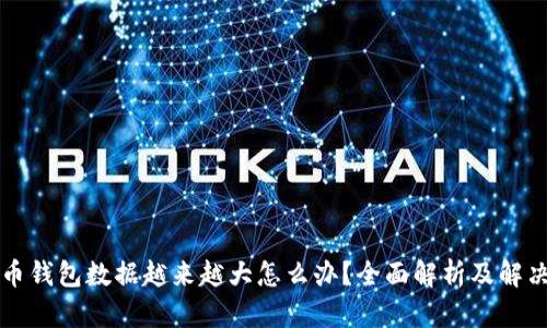 比特币钱包数据越来越大怎么办？全面解析及解决方案