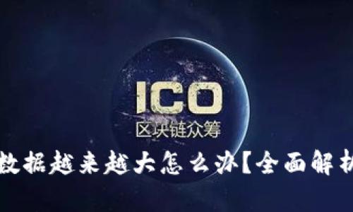 比特币钱包数据越来越大怎么办？全面解析及解决方案