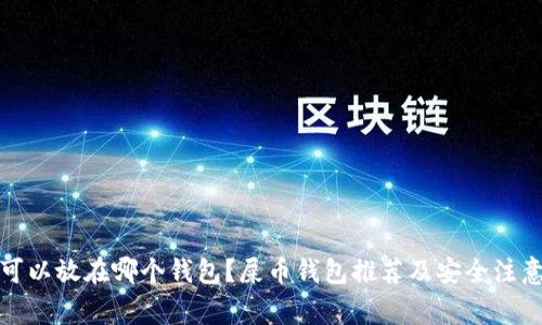 屎币可以放在哪个钱包？屎币钱包推荐及安全注意事项