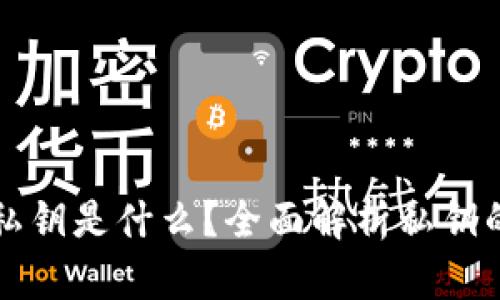 TP导入钱包输入私钥是什么？全面解析私钥的知识与使用方法