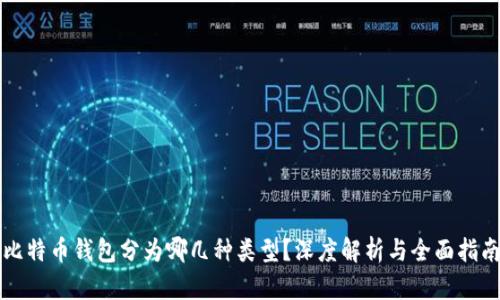 比特币钱包分为哪几种类型？深度解析与全面指南