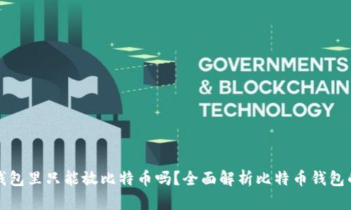 比特币钱包里只能放比特币吗？全面解析比特币钱包的多样性
