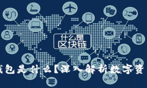 ### TP钱包是什么？深入解析数字资产管理工具