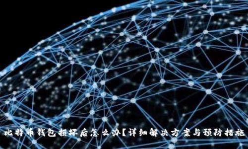 比特币钱包损坏后怎么办？详细解决方案与预防措施