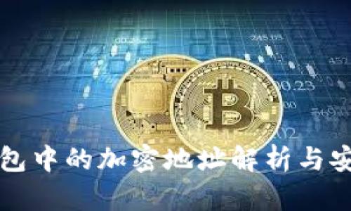 比特币钱包中的加密地址解析与安全性分析