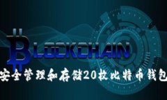 如何安全管理和存储20枚比