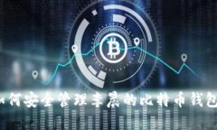 如何安全管理李晨的比特