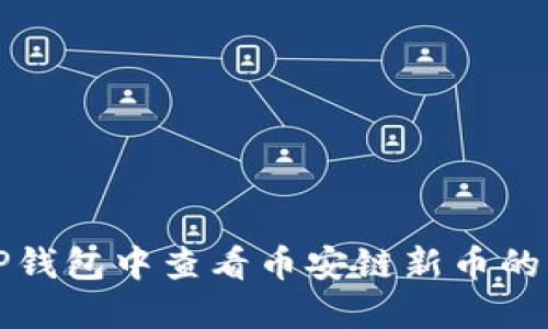 如何在TP钱包中查看币安链新币的详细指南
