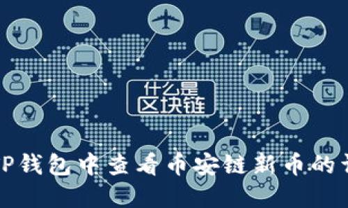如何在TP钱包中查看币安链新币的详细指南