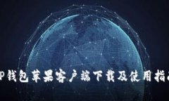 TP钱包苹果客户端下载及使