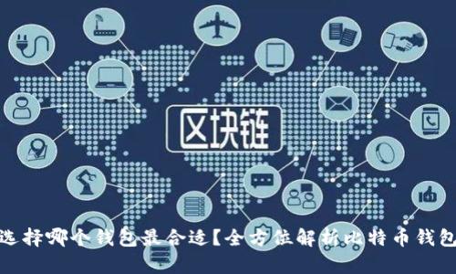 : 比特币选择哪个钱包最合适？全方位解析比特币钱包选择指南