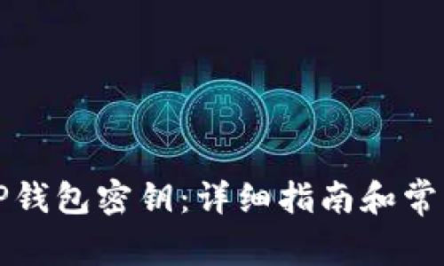 如何找回TP钱包密钥：详细指南和常见问题解答