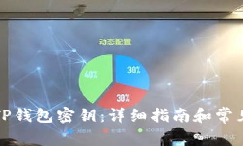如何找回TP钱包密钥：详细指南和常见问题解答