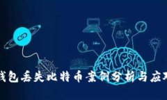 软件钱包丢失比特币案例