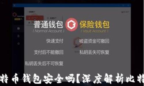 
没有私钥的比特币钱包安全吗？深度解析比特币存储安全性