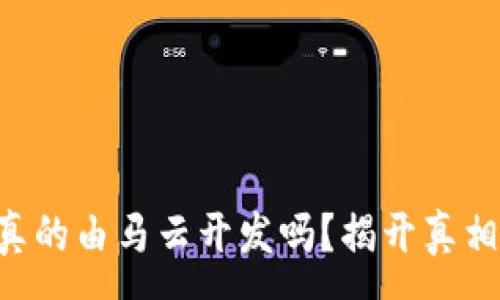 :
TRX波点钱包真的由马云开发吗？揭开真相与背后的故事