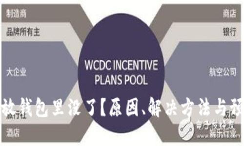 比特币放钱包里没了？原因、解决方法与预防措施