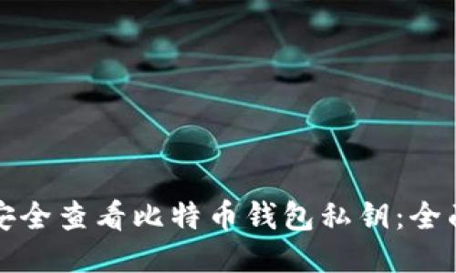 如何安全查看比特币钱包私钥：全面指南