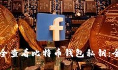 如何安全查看比特币钱包