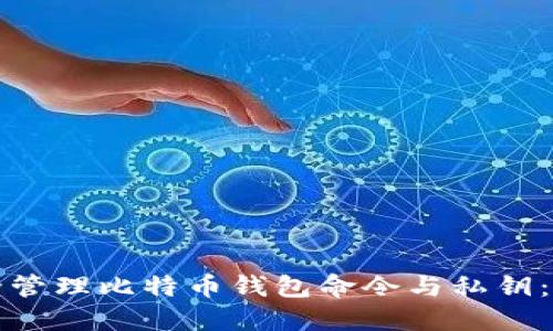 如何安全管理比特币钱包命令与私钥：全面指南
