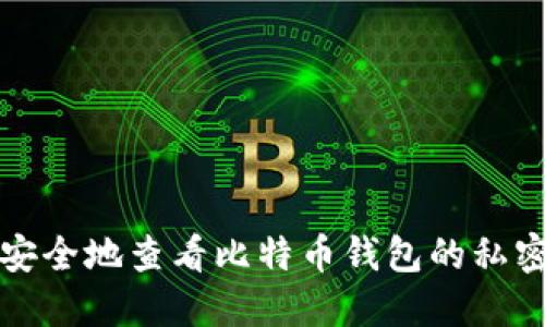 如何安全地查看比特币钱包的私密密钥